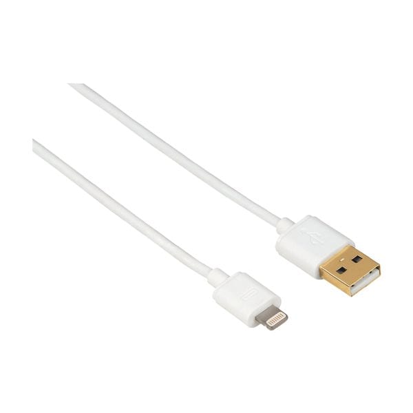 USB/Lightning-kabel voor iPad