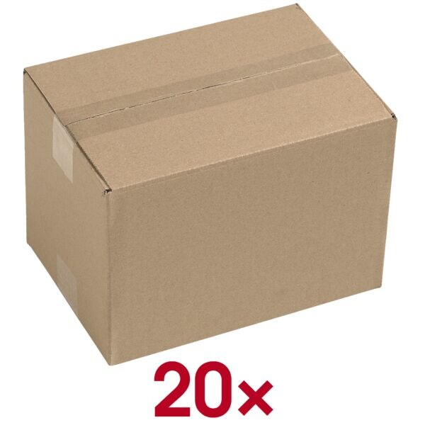 Verzenddozen 15,0/21,5/15,0 cm - 20 stuks