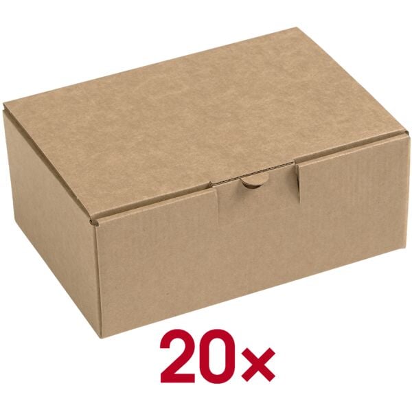 Multifunctionele dozen met klapdeksel 19,0/13,1/7,6 cm - 20 stuks