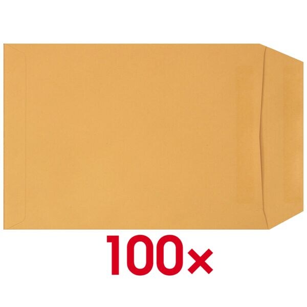 100 zak-enveloppen C5 zonder venster