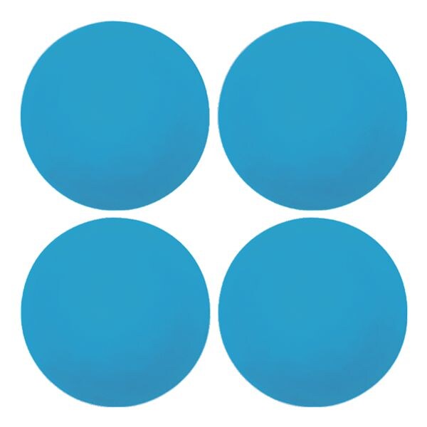 Set van 4 Neodym-silicone magneten