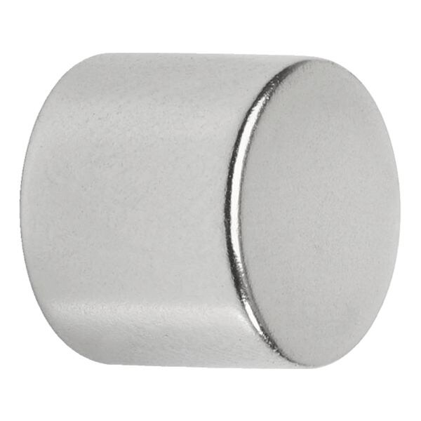 Neodymium magneten 12x10 mm, pak van 20 (22x 10 stuks)