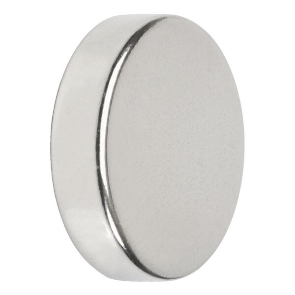 Neodymium magneten 20x5 mm, set van 12