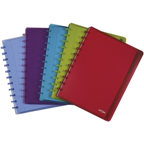 Pak met 10 schoolschriften A4+ geruit 4 x 8 mm met register en insteekhoezen