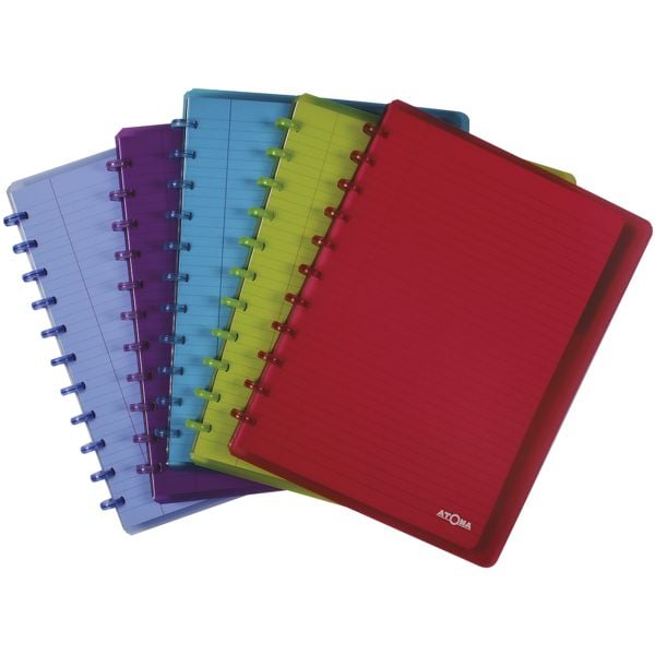 Set van 10 schriften A4+ gelinieerd met register en insteekhoezen