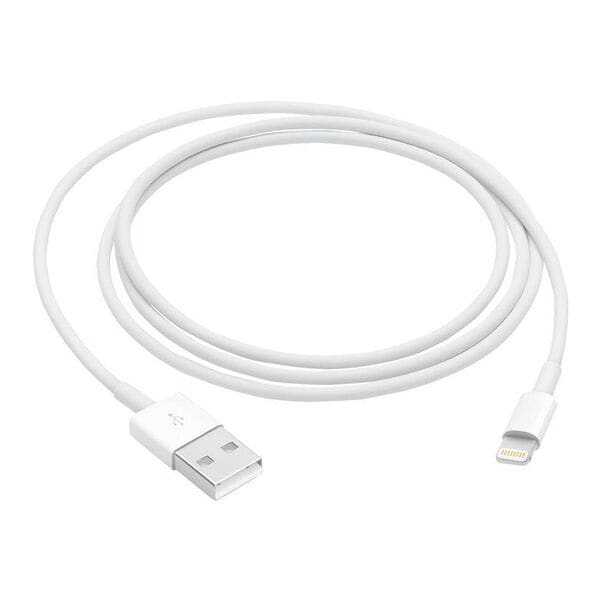 Lightning-naar-USB-kabel van 1 m