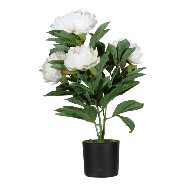 Kunstplant »Pfingstrose« 55 cm