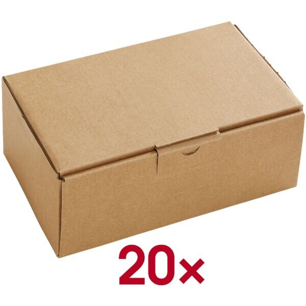 Multifunctionele dozen met klapdeksel 19,2/10,9/7,5 cm - 20 stuks