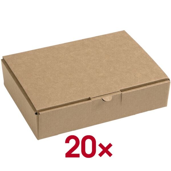 Multifunctionele dozen met klapdeksel 22,0/15,5/5,0 cm - 20 stuks