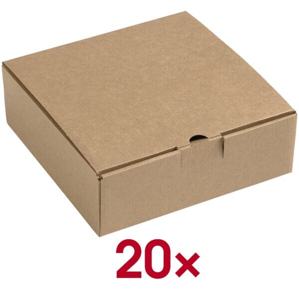 Multifunctionele dozen met klapdeksel 22,5/22,5/7,5 cm - 20 stuks