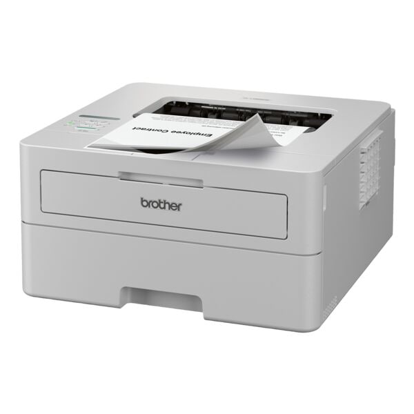 Zwart-wit laserprinter »HL-L2865DW«,