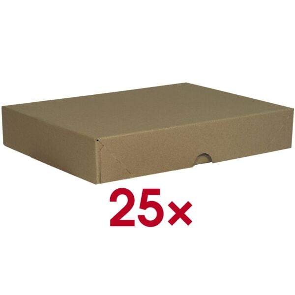 Vouwdozen 30,5/21,5/5 cm 500 bladen - 25 stuks