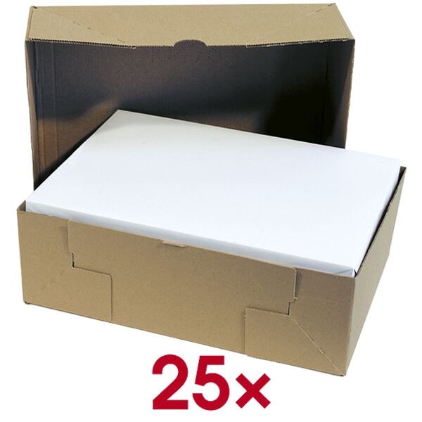 Vouwdozen 30,5/21,5/10 cm 1000 bladen - 25 stuks