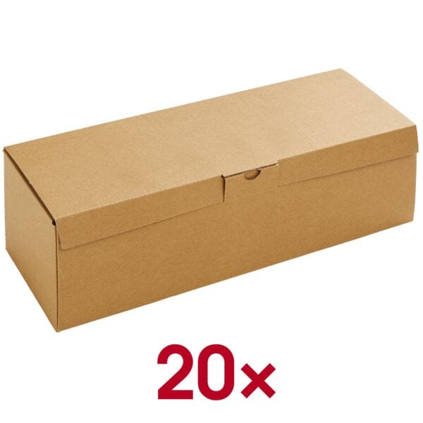 Multifunctionele dozen met klapdeksel 33,0/11,0/11,0 cm - 20 stuks