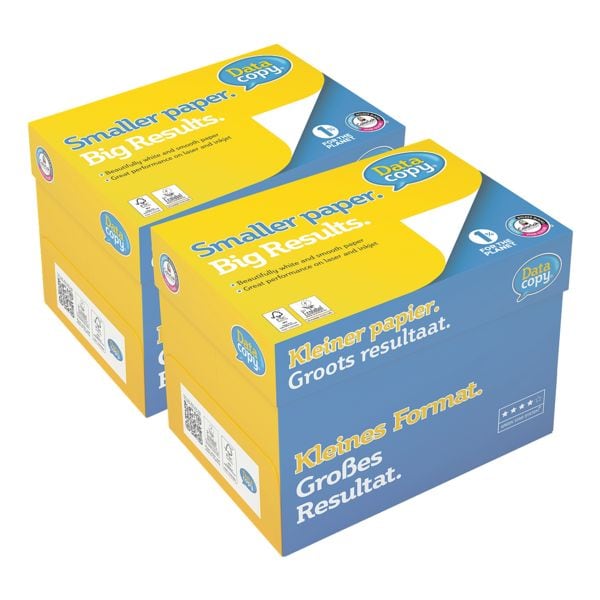 2 maxi-boxen à 2500 bladen multifunctioneel printpapier »Everyday Printing«