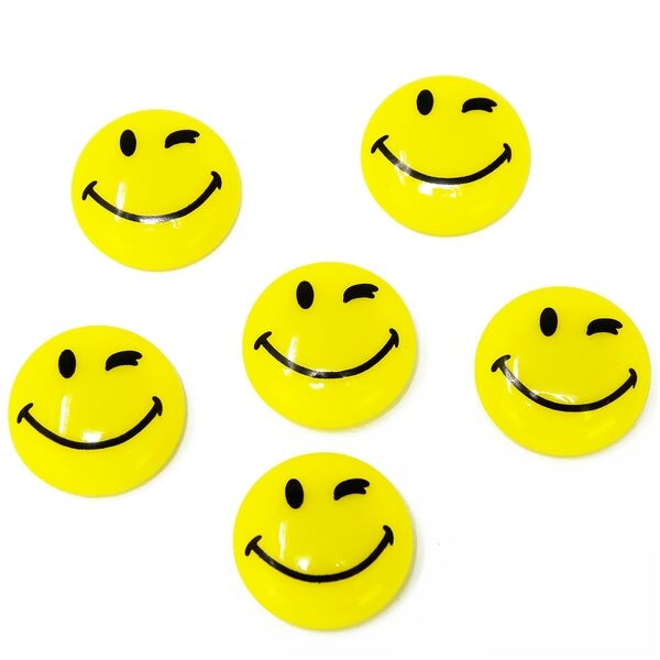 Memo-/planningsmagneten »HappyMagnets HM30S/6«, 6 stuks