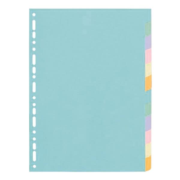 Kartonnen tabbladen »Forever« 12-delig blanco A4 pastelkleurig