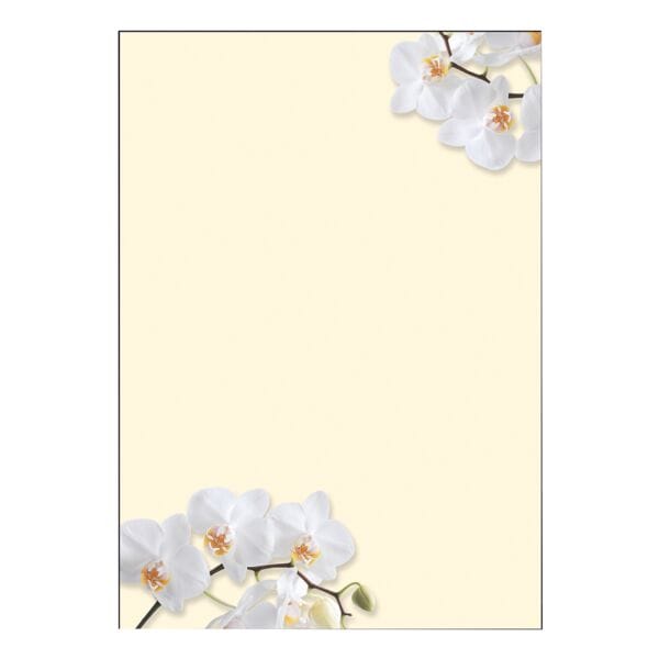 Motiefpapier »White Orchid« DP904