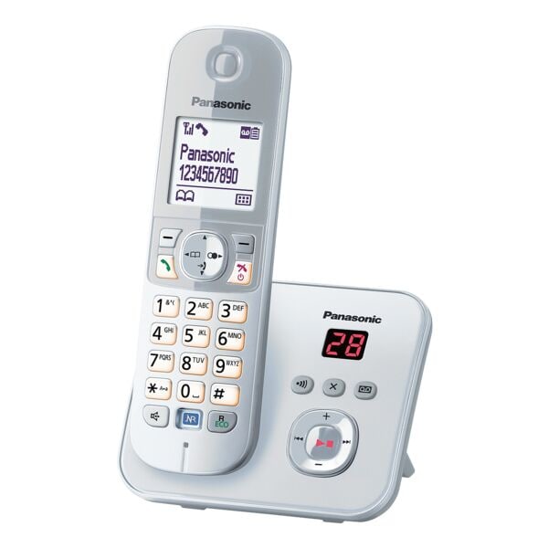 Schnurloses Telefon »KX-TG6821GS«