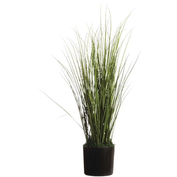 Kunstpflanze »Gras« 55 cm