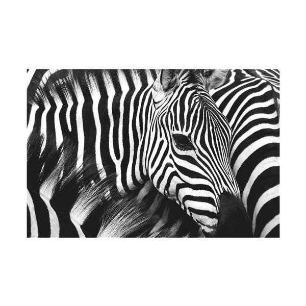 Wandbild »Zebra«