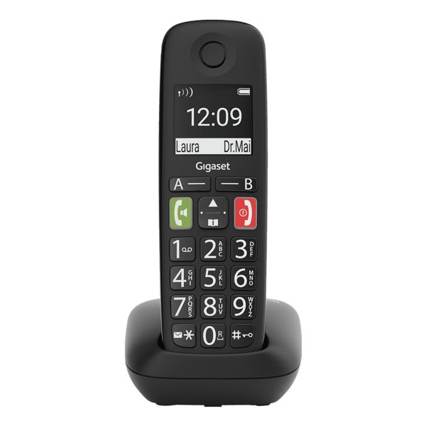 Schnurloses Telefon »E290«