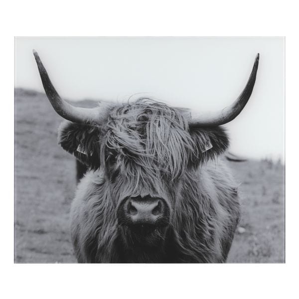 Glasrückwand »Highland Cattle«