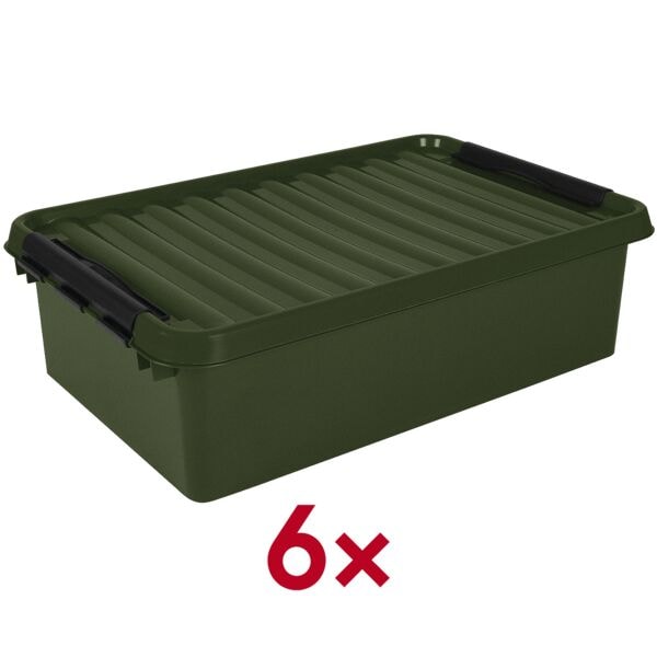 sunware 6 Aufbewahrungsboxen »the q-line« 32 l transparent, 60x18x40 cm