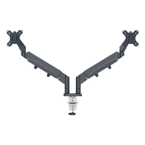 Leitz Monitorarm »Ergo Dual« grau, 43.5 cm