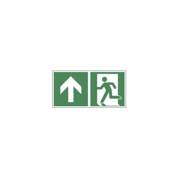 Rettungszeichen »Notausgang geradeaus, durch die Tür oder aufwärts [E001]« 30 x