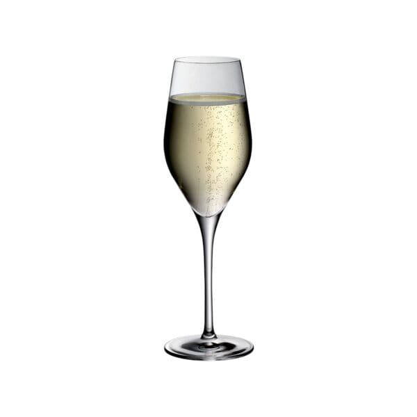 Champagnerglas »DIVINE« 6 Stück 265 ml