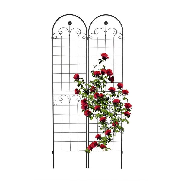 relaxdays 2er-Pack Rankgitter 220 cm