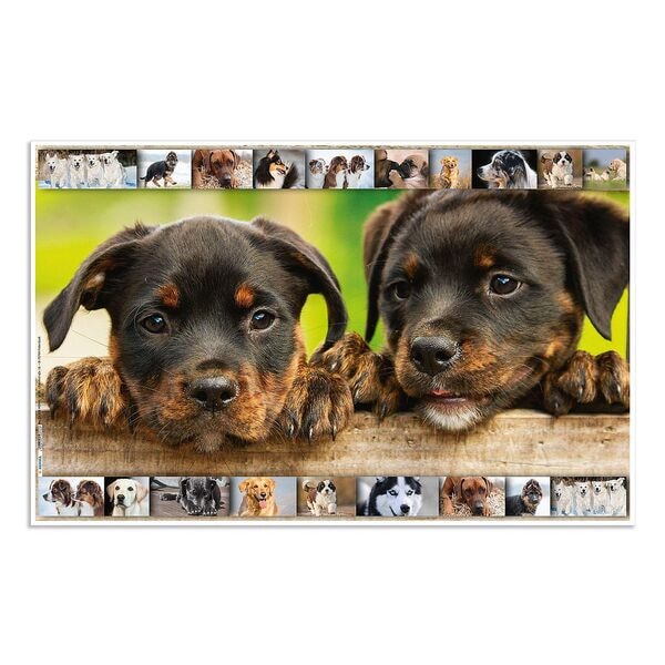 Herma Schreibtischunterlagen »Hunde«, 55x35 cm