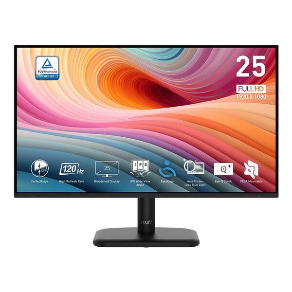 Msi Monitor »PRO MP251LDE E2« 62,23 cm / 24,5 '' 38