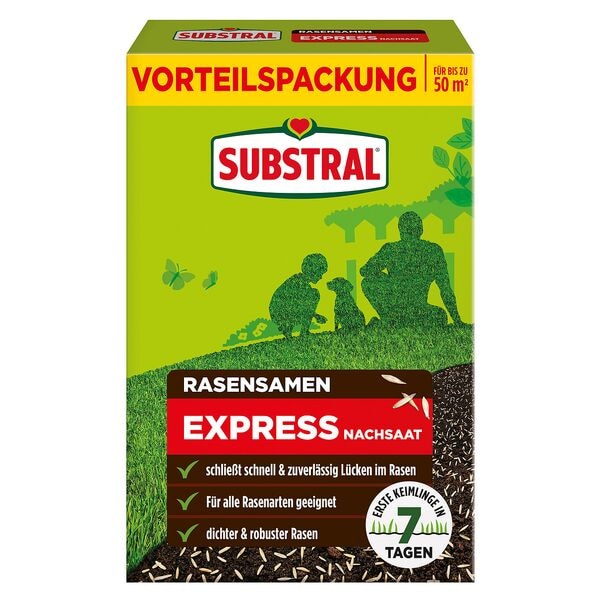 Substral Rasensamen »Express Nachsaat« 1 kg