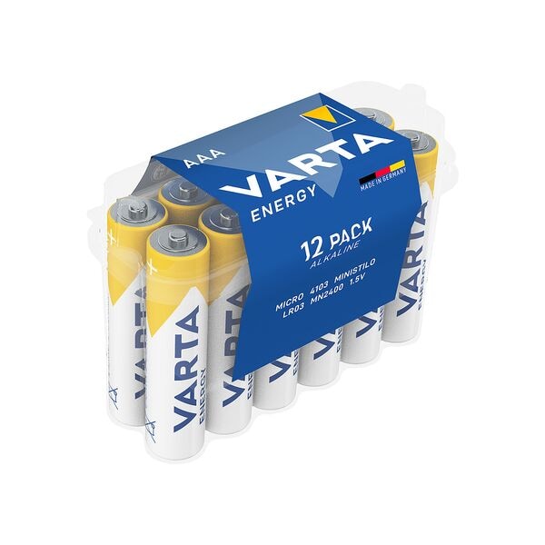 12er-Pack Batterien »Energy« Micro / AAA / LR03