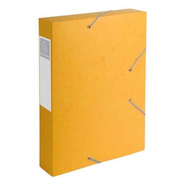 Archivbox »Cartobox« - 1 Stück